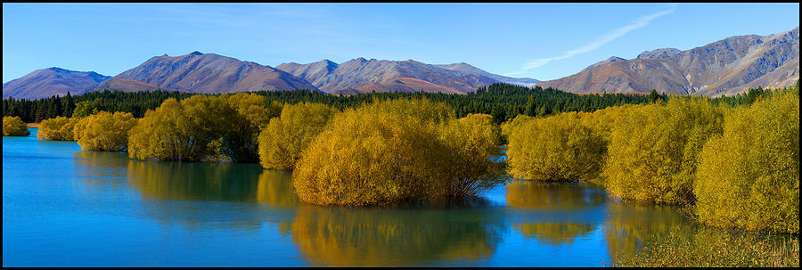 Heart Of Gold Photograph by Craig Lambert - Pixels