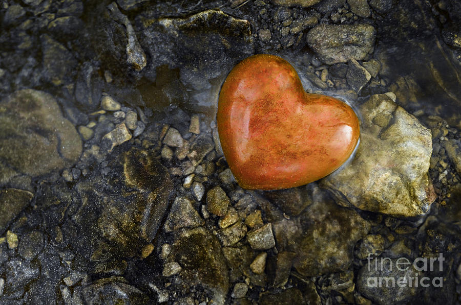Heart of Gold - D008391-c Photograph by Daniel Dempster