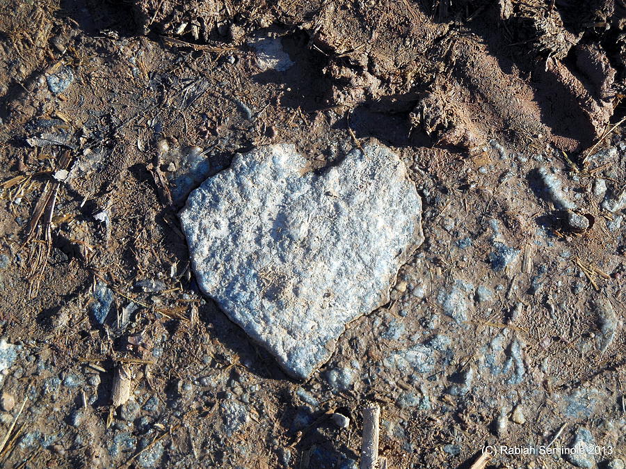 Heart of Stone or Love is Everywhere Photograph by Rabiah Seminole