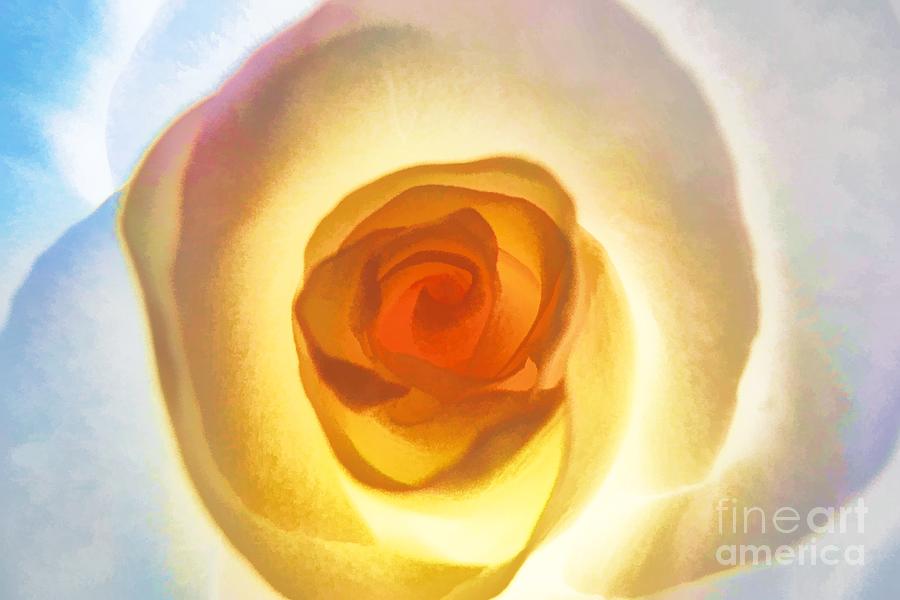 Heart Of The Rose Photograph by Peggy Hughes