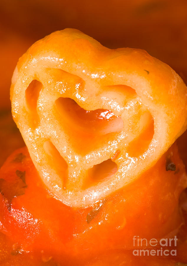 Heart Pasta With Tomato Sauce Photograph