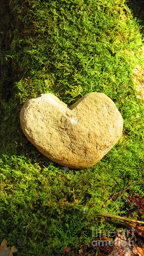 Heart Rock Photograph by Anita Adams