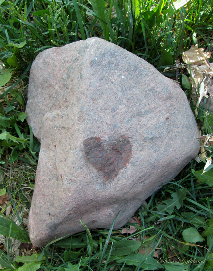 Heart Rock Photograph by Eileen Lighthawk