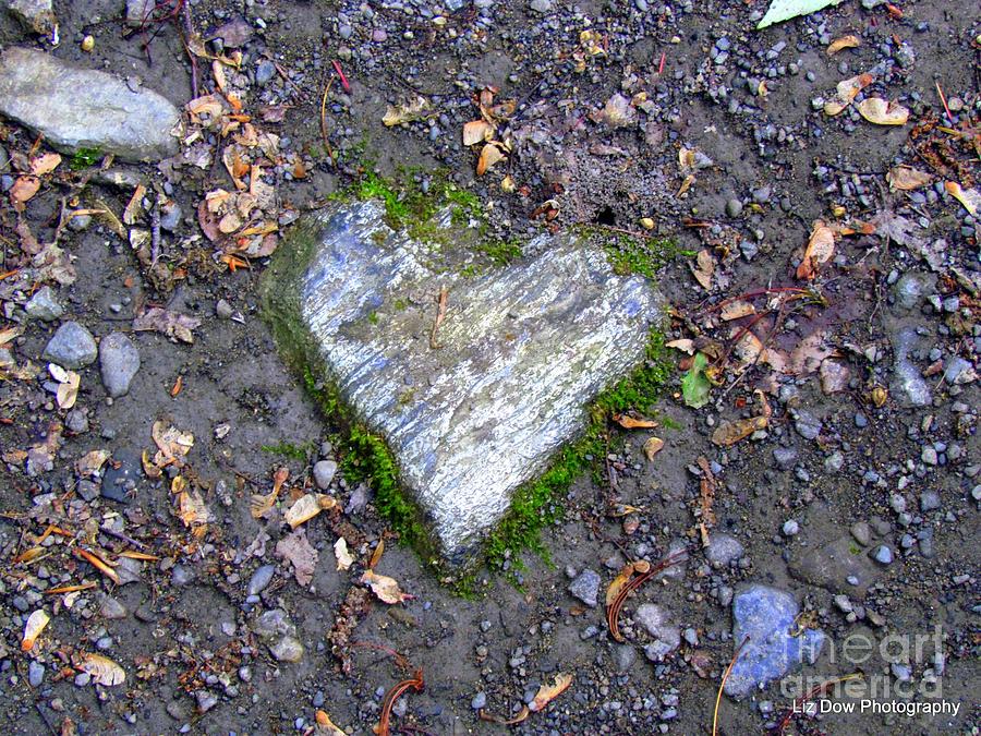 Heart Rock Photograph
