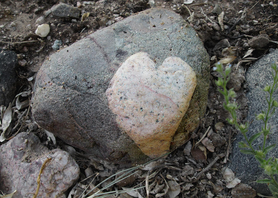 Heart Rock II Photograph by Eileen Lighthawk