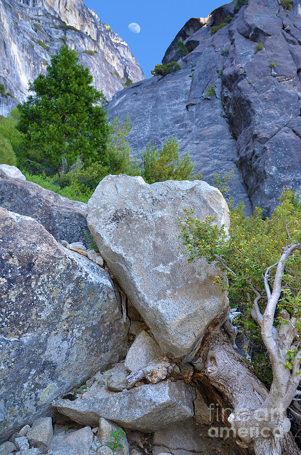 Heart Rock in Yosemite Photograph by Debra Thompson