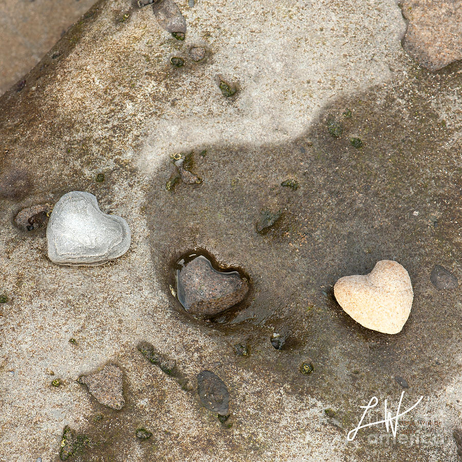Heart Rock Love Photograph by Artist and Photographer Laura Wrede