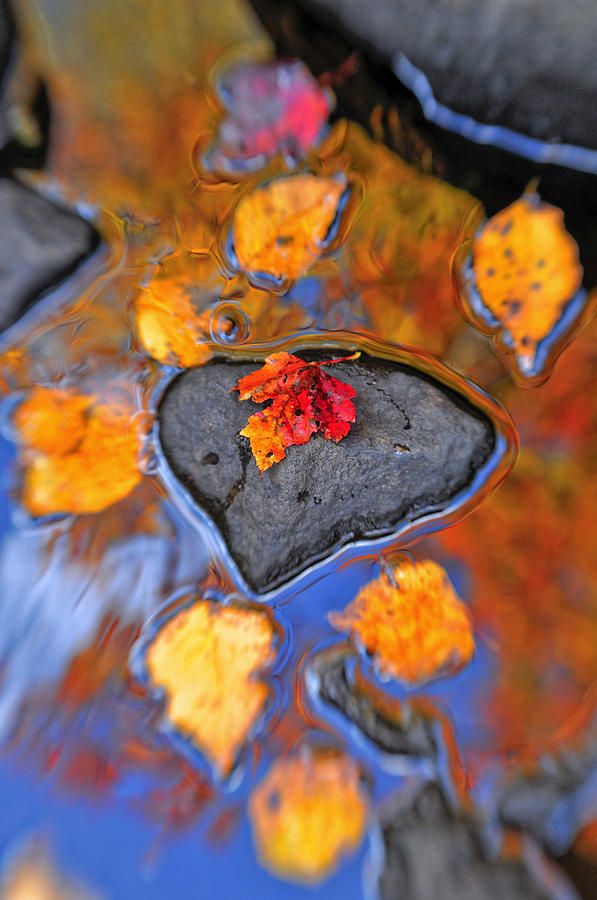 Heart Rock Reflections Photograph by Joseph Rossbach