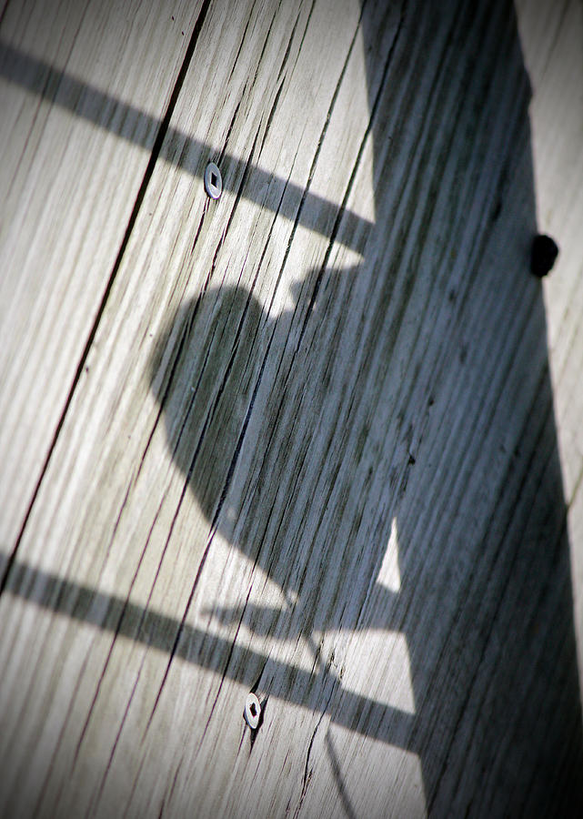 Abstract Photograph - Heart Shadow by Cynthia Guinn