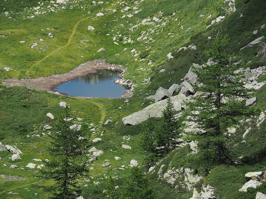 Heart-shaped Alpine Lake in the Lepontine Alps Photograph by Federica Grassi