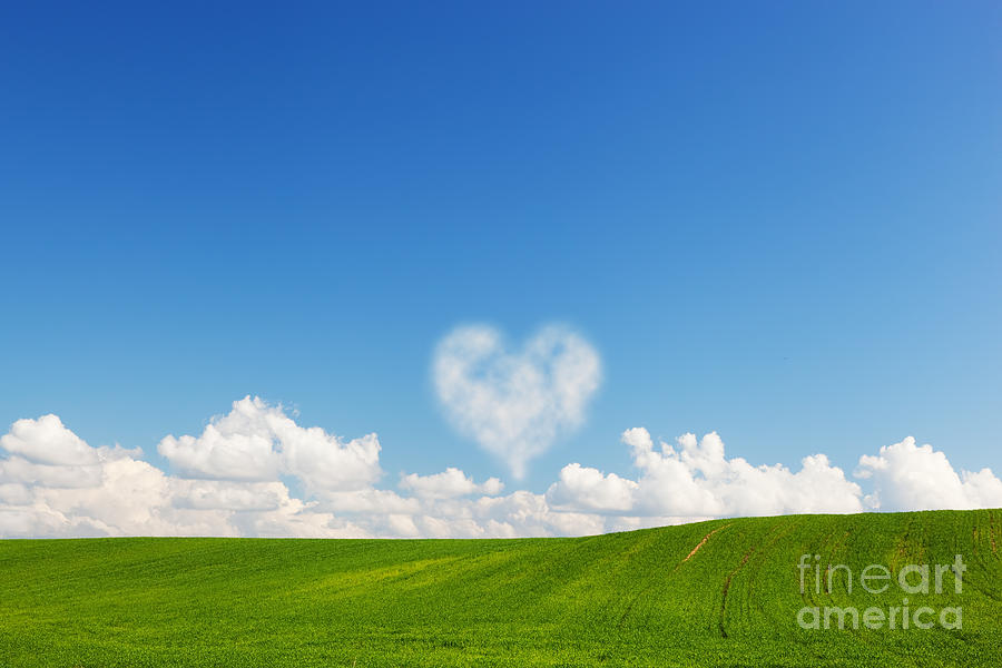 Nature Photograph - Heart shaped cloud above green summer field landscape by Michal Bednarek