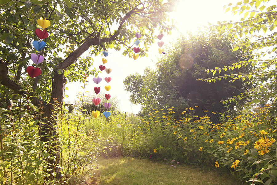 Heart-shaped garland made of paper hanging in garden Photograph by Westend61