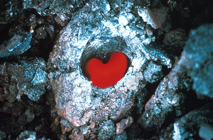 Heart-shaped Glowing Tree Mold, Kilauea Photograph by Science Source