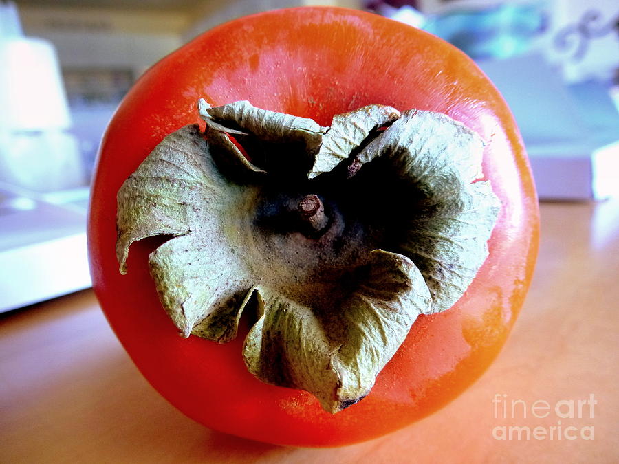 Heart Shaped Persimmon Photograph by Mars Besso