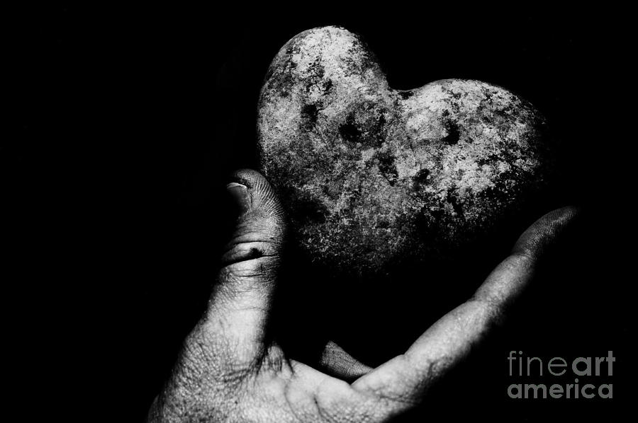 Nature Photograph - Heart Shaped Rock by Jessica S