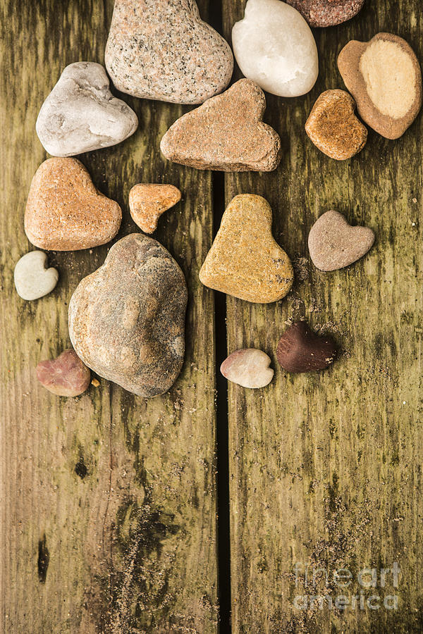Heart Shaped Rocks Photograph by Diane Diederich