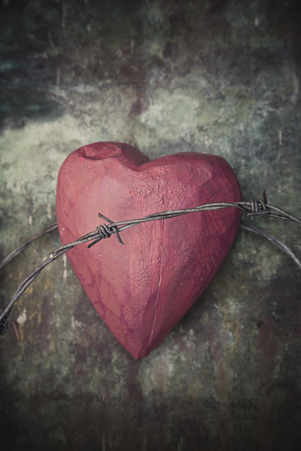 Heart with thorns Photograph by Maria Heyens