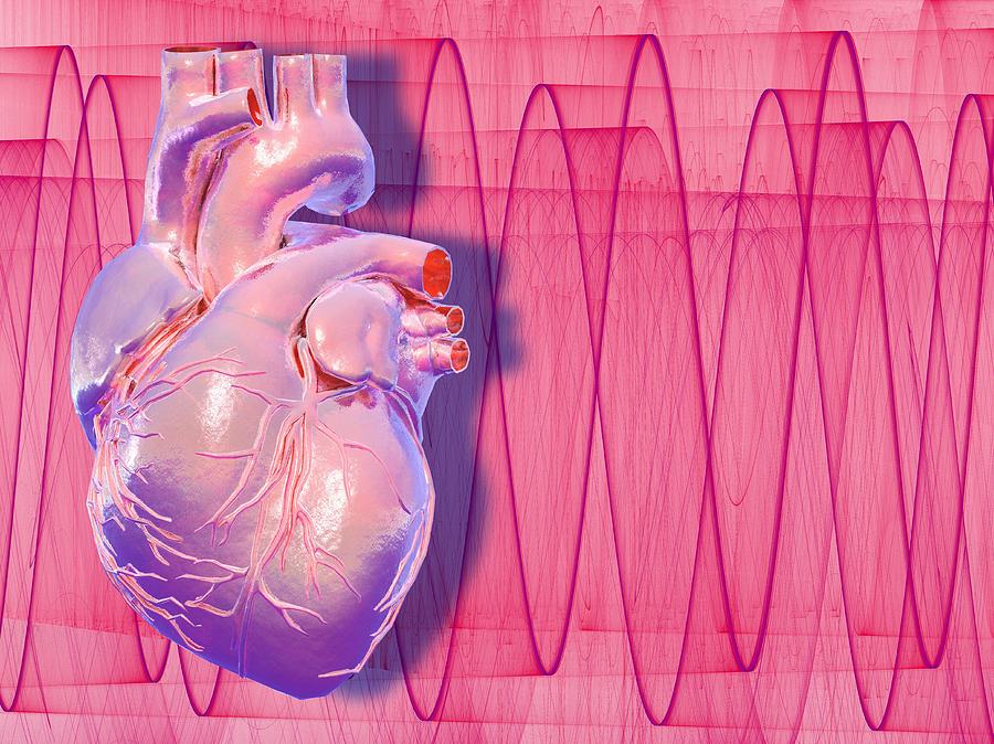 Beating Photograph - Heartbeat, conceptual artwork by Science Photo Library