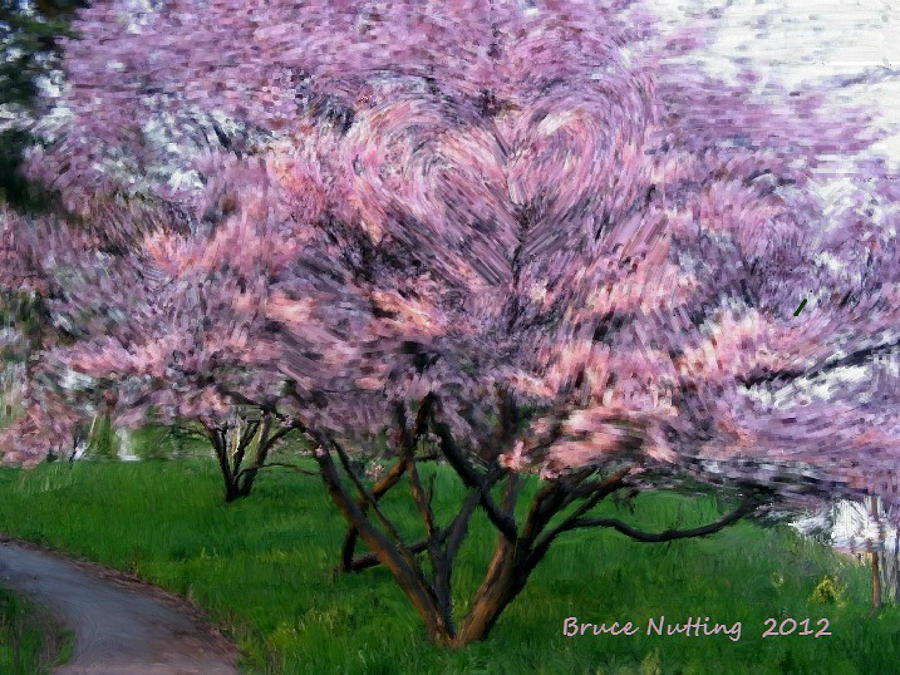 Heartfelt Cherry Blossoms Painting by Bruce Nutting
