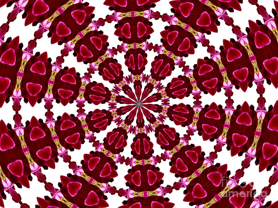 Hearts and Orchids Kaleidoscope Photograph by Rose Santuci-Sofranko