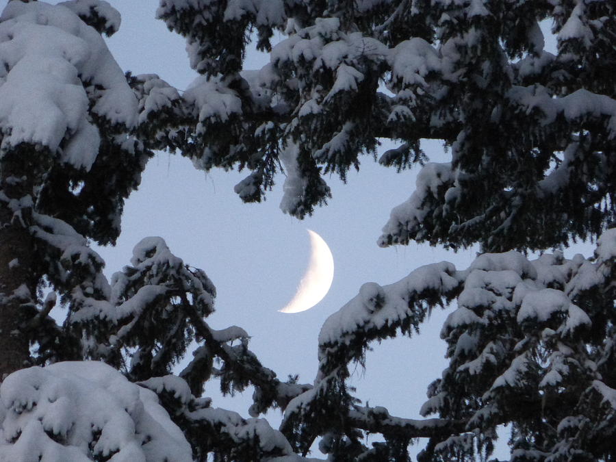 Hearts over the Moon Photograph by Amanda Roberts - Fine Art America