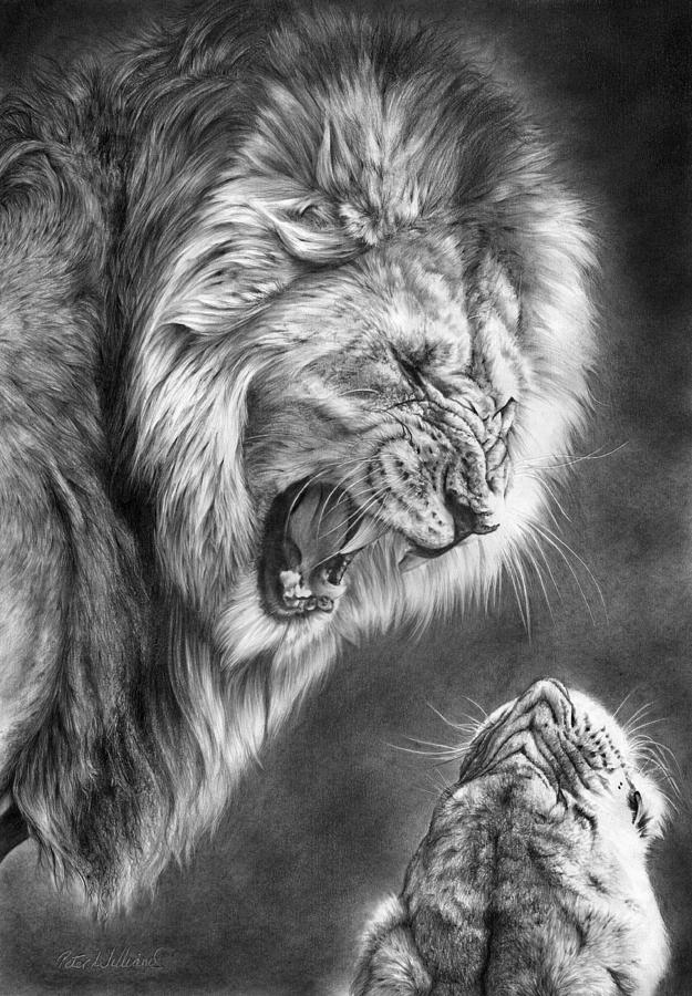 Wildlife Drawing - Heat Of The Night by Peter Williams