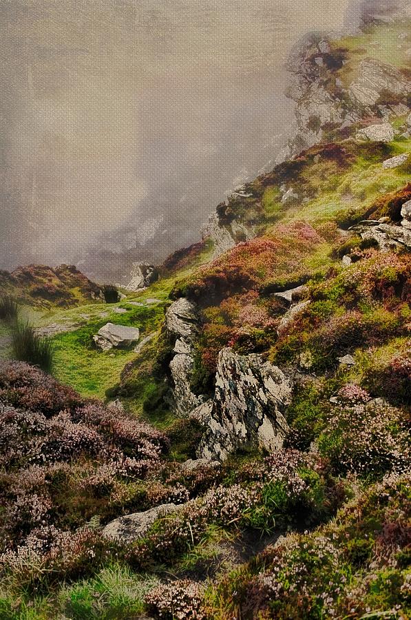 Irish Mist Stone and Heather Photograph by Henry Kowalski