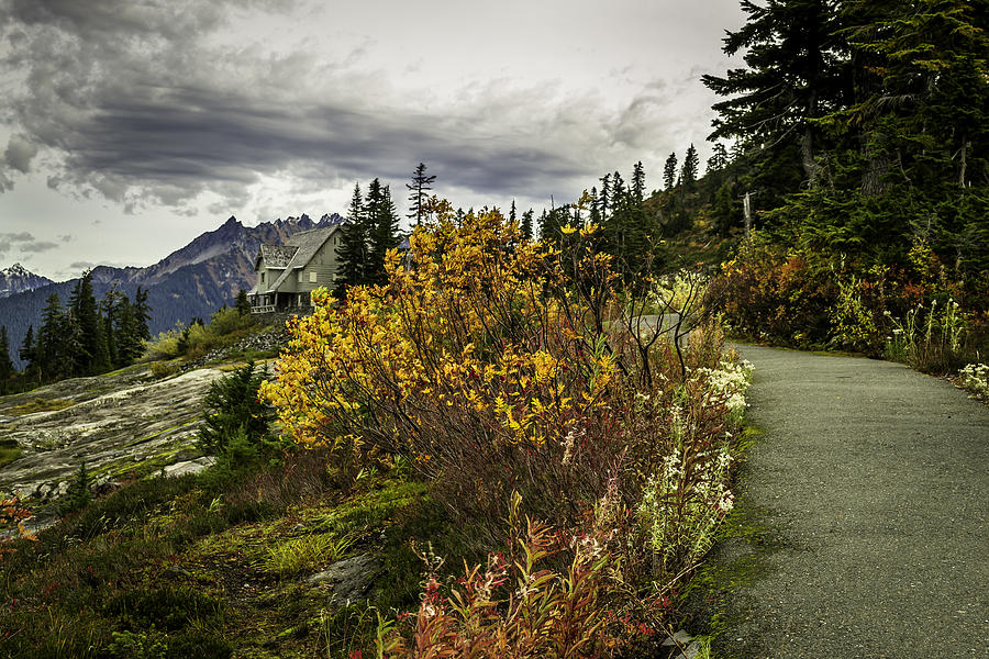 Artist Point Photograph - Heather Meadow by Blanca Braun Artist Point Photograph - Heather Meadow by Blanca Braun