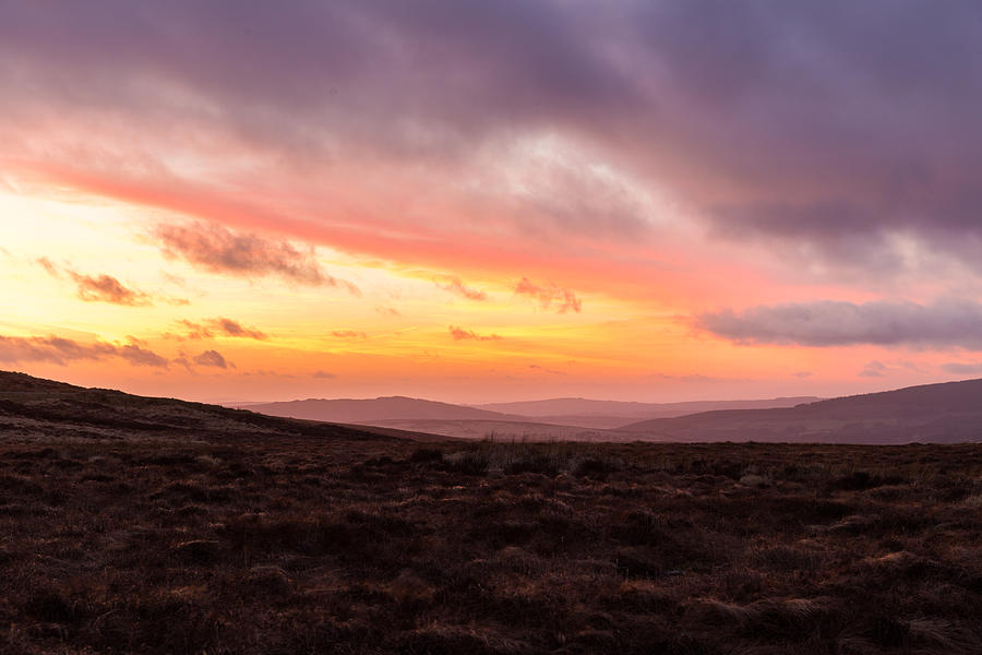 Heathlands at dusk in Wicklow Mountains Photograph by Semmick Photo