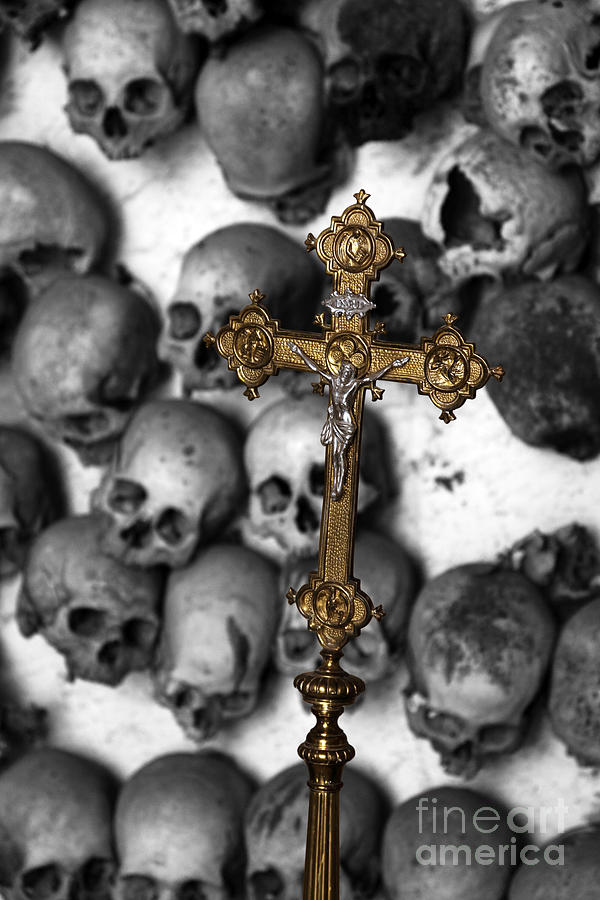 Skull Photograph - Heaven and Hell by James Brunker