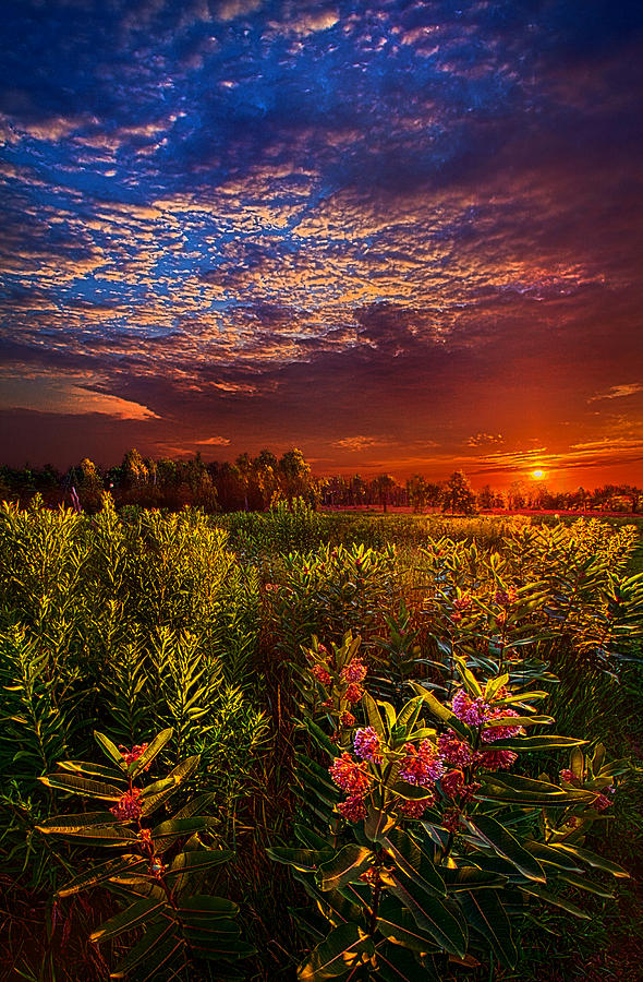 Heaven on Earth Photograph by Phil Koch