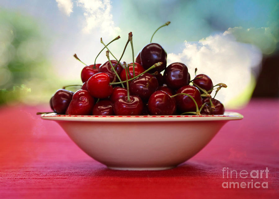 Heavenly Cherries Photograph by Carol Groenen