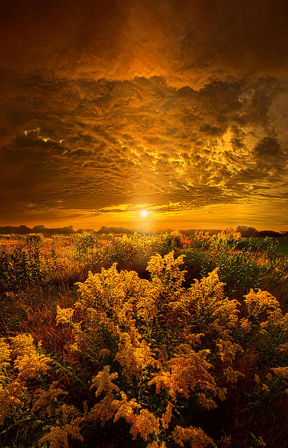 Heavenly Earth Photograph by Phil Koch