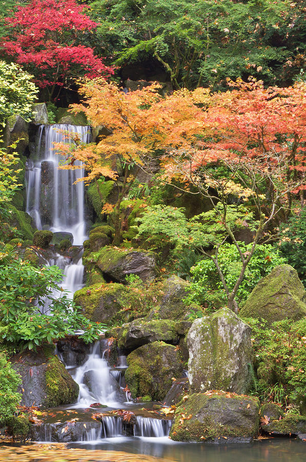 Fall Photograph - Heavenly Falls And Autumn Colors by William Sutton