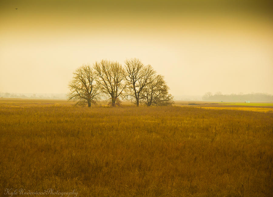 Heavenly Field Photograph by Kyle Underwood | Fine Art America