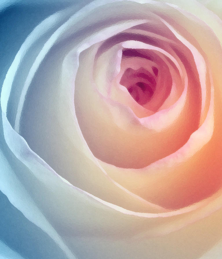 Rose Photograph - Heavenly Soft by The Art Of Marilyn Ridoutt-Greene