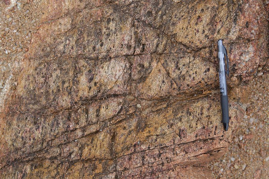 Australia Photograph - Heavily jointed gneiss outcrop by Science Photo Library