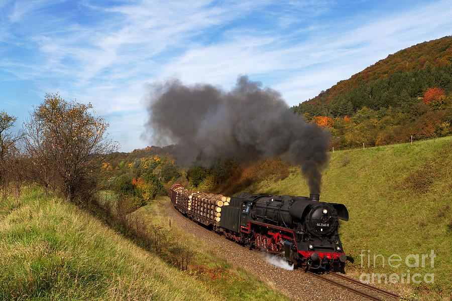 Tree Photograph - Heavy goods steam train by Christian Spiller