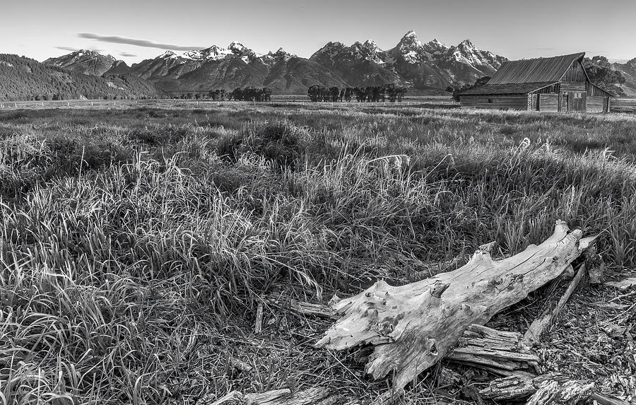 Grand Teton National Park Photograph - Heavy Lumbar by Jon Glaser