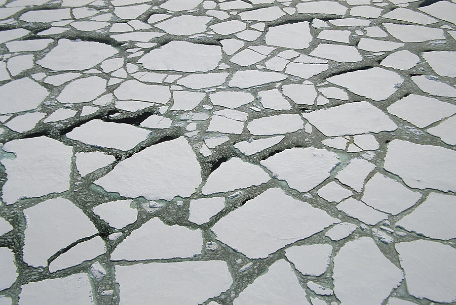 Heavy Pack Ice Terre Adelie Land Photograph by Colin Monteath