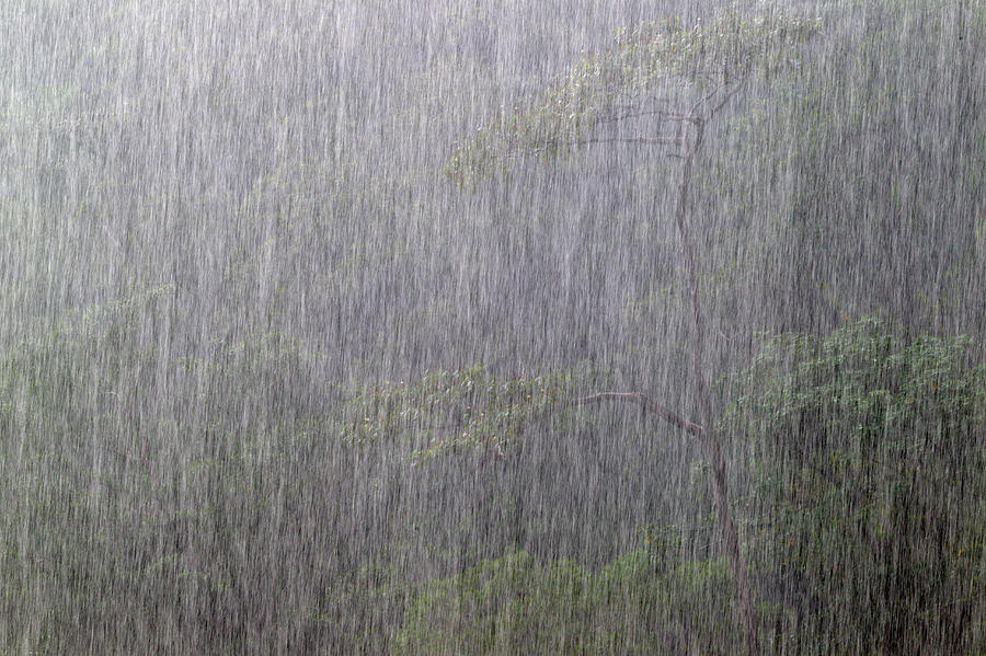heavy rain nature