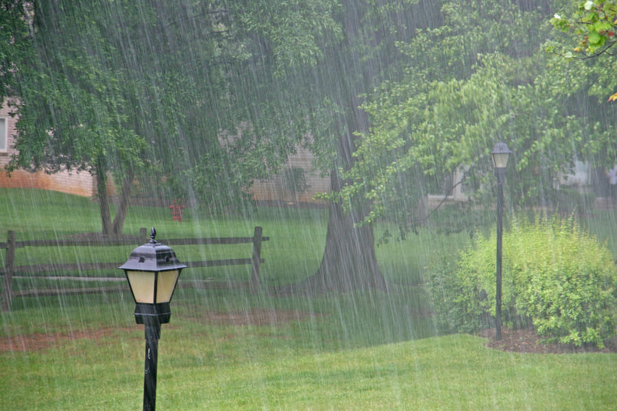 Heavy rain in  the park Photograph by Skla