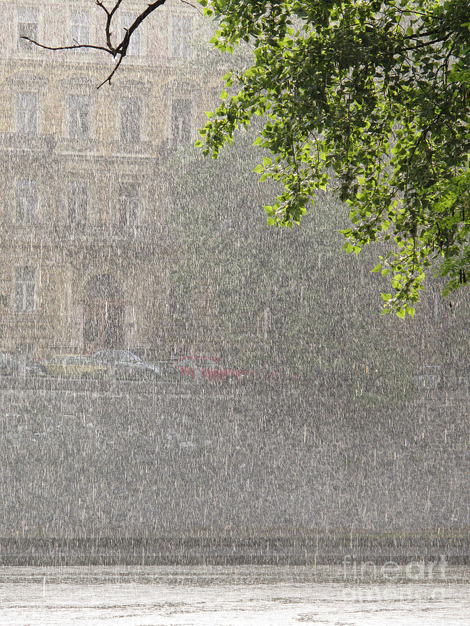 Heavy Rain Photograph by Jan Halaska
