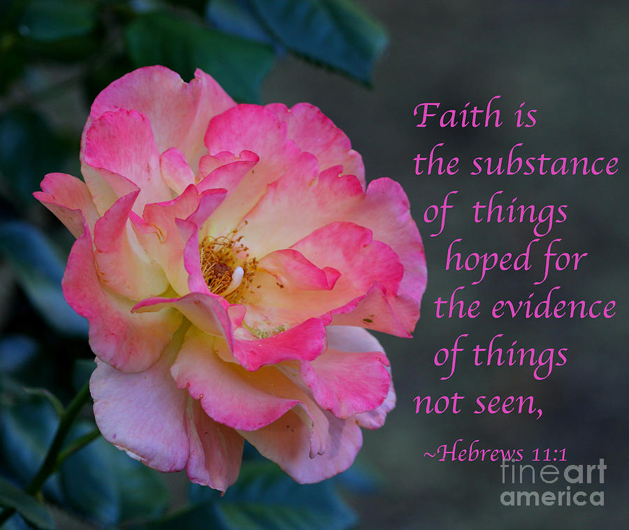 Rose Photograph - Hebrews 11 1 by Ruth Jolly