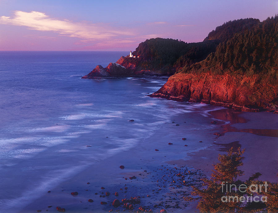 Heceta Head Lighthouse at Sunset Oregon coast Photograph by Dave Welling