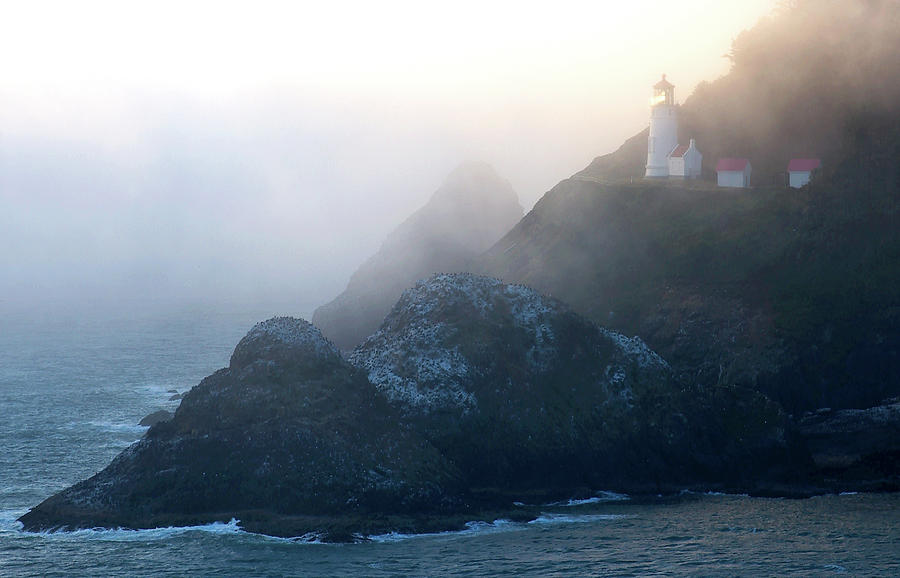 Heceta Head Lighthouse On The Oregon Photograph by Panoramic Images ...