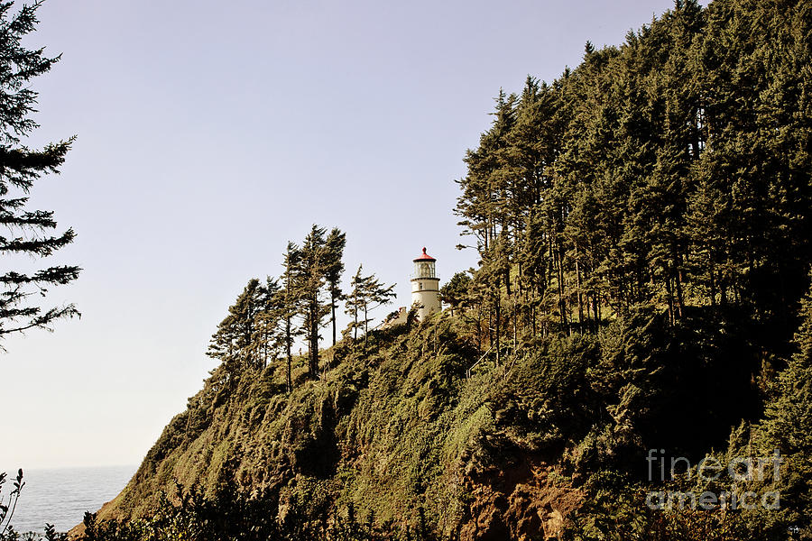 Nature Photograph - Heceta Head Lighthouse by Scott Pellegrin