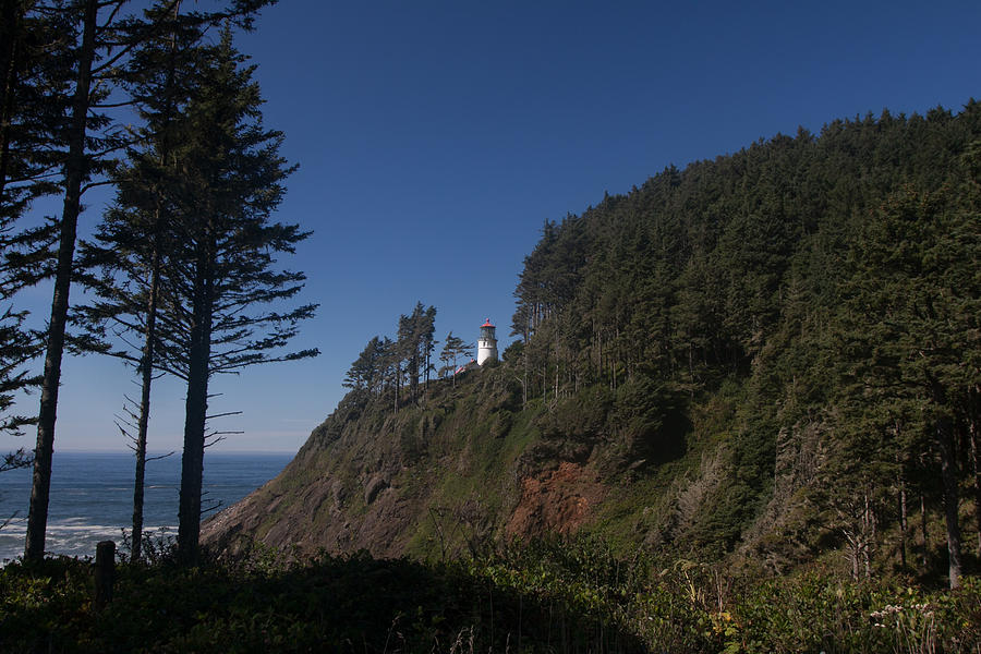 Heceta Head Lighthouse Photograph by W Chris Fooshee