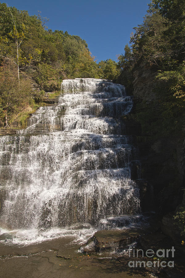 Hector Falls Photograph by William Norton