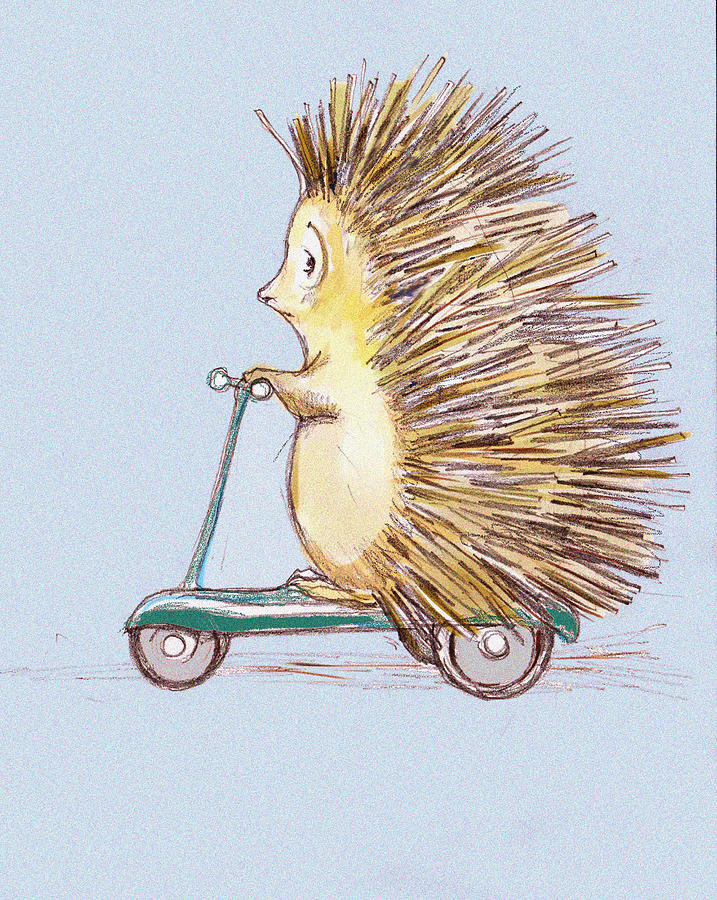 Hedgehog on Scooter Drawing by Peggy Wilson